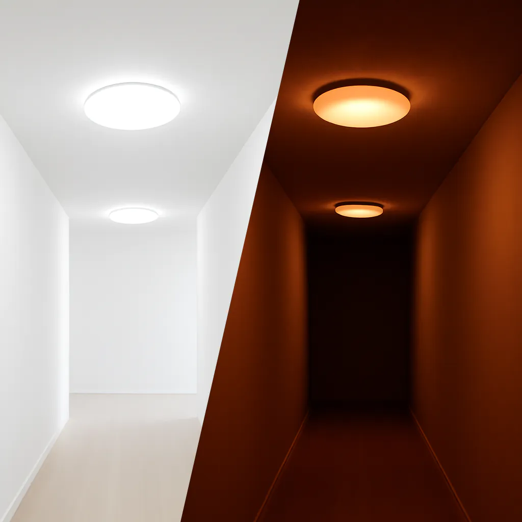 Noxion Corido Pro V2 in hallway